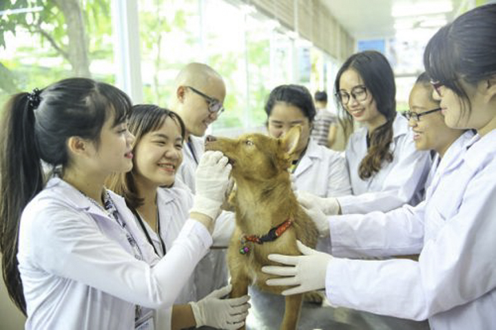 Ngành Thú y Việt Nam