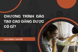 Chương trình đào tạo Cao đẳng Dược có gì?