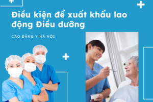 Đi xuất khẩu lao động Điều dưỡng cần những điều kiện gì?
