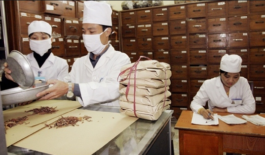 Những môn học chủ yếu sẽ có trong chương trình học ngành Y học cổ truyền
