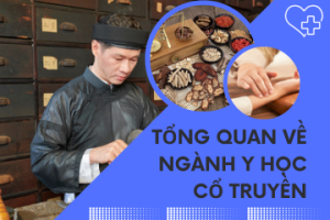 Tổng quan về ngành Y học cổ truyền