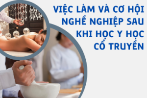 Việc làm và cơ hội nghề nghiệp sau khi học Y học cổ truyền