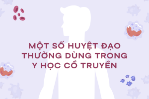 Một số huyệt đạo thường dùng trong Y học Cổ truyền