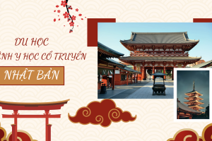 Du học ngành Y học Cổ truyền tại Nhật Bản
