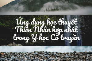 Ứng dụng học thuyết Thiên nhân hợp nhất trong Y học Cổ truyền