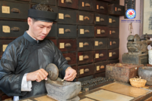 CAO ĐẲNG Y HỌC CỔ TRUYỀN – MÃ NGÀNH: 6720102